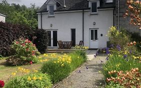 Tulach Ard